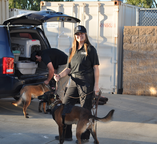 Rectangle 34624774 (3)